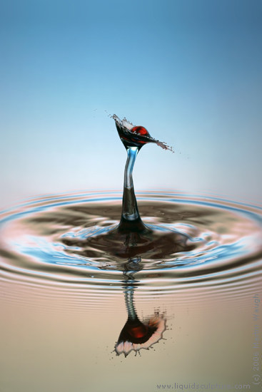 water drop. Water Drop Photograph